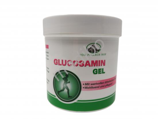 Glucosamin Gel vom Pullach Hof 250 ml